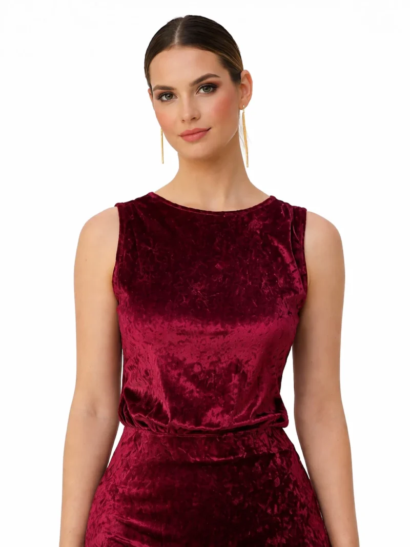 Top burdeos de terciopelo Hillary con frunce en hombros y escote en pico en la espalda. Ideal para eventos y looks de invitada en invierno.